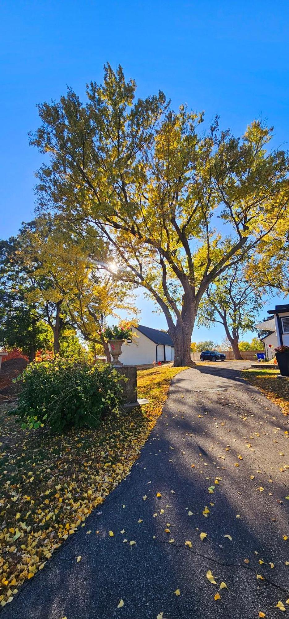 1908 Modern Farmhouse On Large Private Treed Lot ショーニー エクステリア 写真